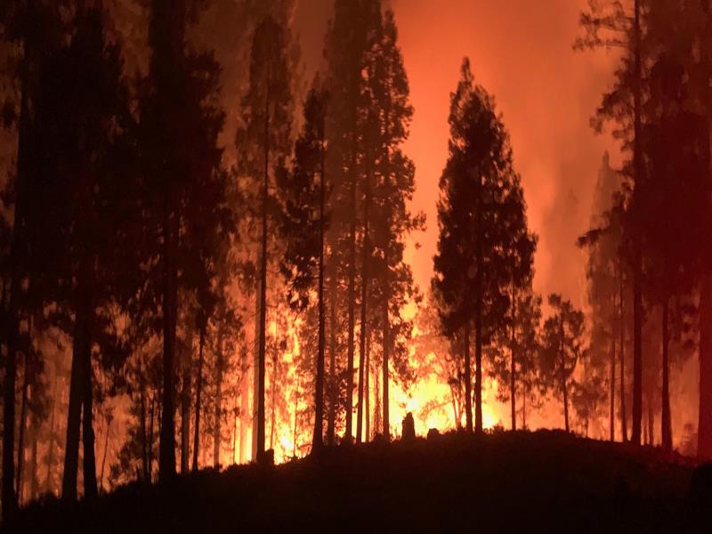Departamento de bomberos de San Francisco Los bomberos de California y otras partes de la costa oeste de los Estados Unidos luchan por contener los incendios forestales