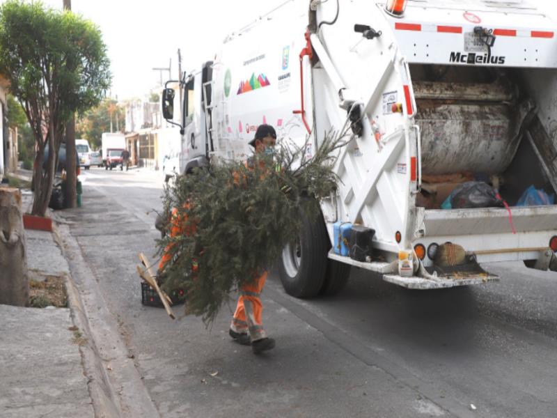 una Invitaron a las familias para que dejen los pinos navideños naturales en el exterior de su domicilio y que se los lleve el camión recolector de basura