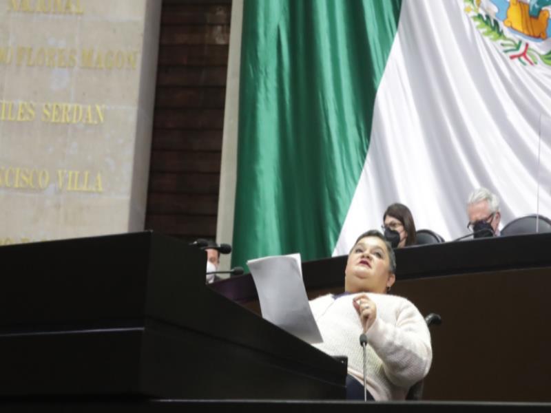 Diputada Norma Angélica Aceves García
