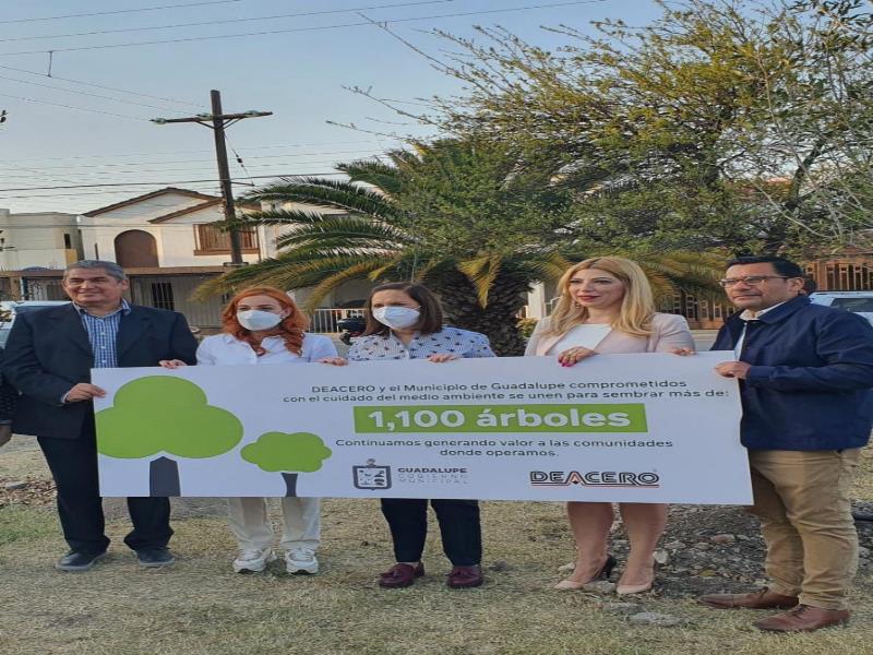 Promueven una cultura de cuidado del medio ambiente