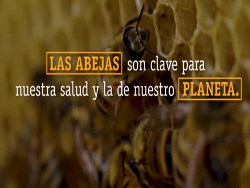 El tema elegido este año para conmemorar la festividad es　"Compromiso con las abejas", con especial atención a la producción apícola y las buenas prácticas adoptadas por los apicultores de todo el mundo para apoyar sus medios de vida y ofrecer productos de alta calidad