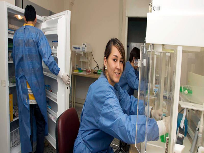 OMS/OPS//Jane Dempster Asistentes de laboratorio sobre el Virus del Papiloma Humano y el Instituto de investigación sobre el Cáncer en Colombia OMS/OPS//Jane Dempster Asistentes de laboratorio sobre el Virus del Papiloma Humano y el Instituto de investigación sobre el Cáncer en Colombia
