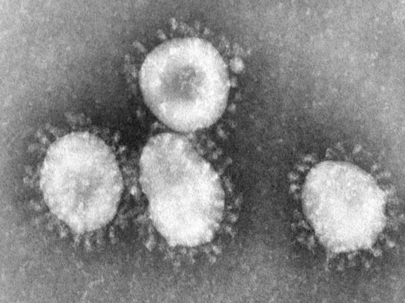 El caso llega poco después de la confirmación por parte del Gobierno chino de que el virus puede transmitirse de persona a persona