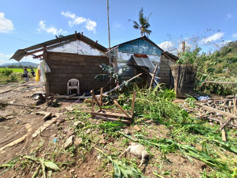 Daños causados por el tifón Phanfone en la localidad de Batad, en el centro de Filipinas, el jueves 26 de diciembre de 2019. (AP Foto/Leo Solinap)