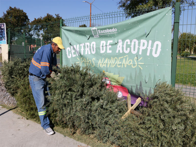 Los 8 centros de acopio se ubican en diferentes zonas de Escobedo