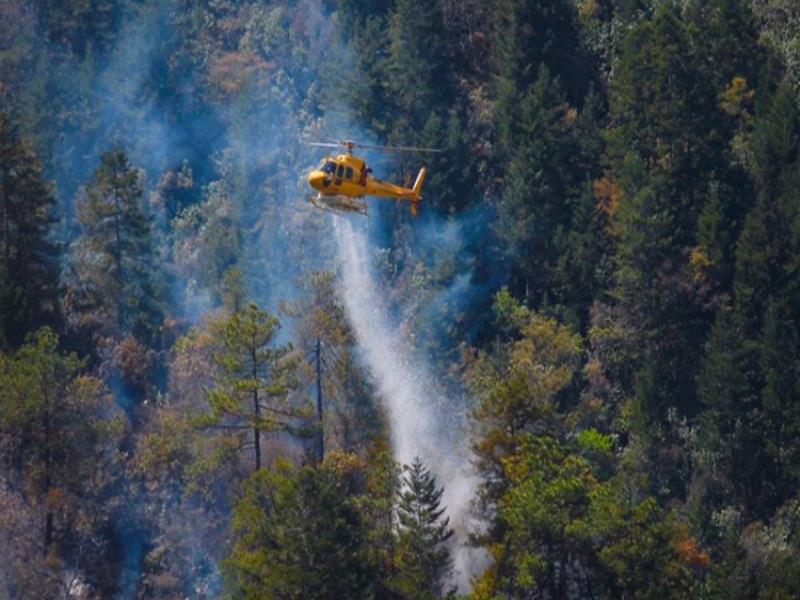 El total del área afectada fue de tres hectáreas